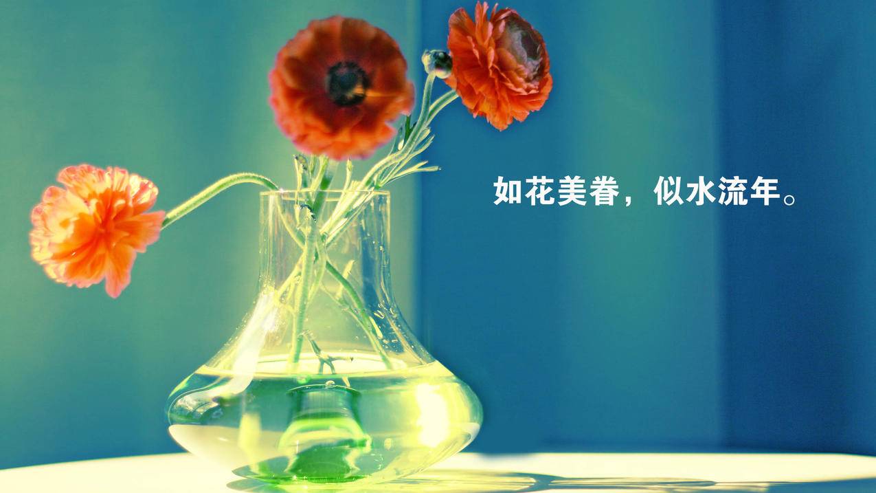 快手真人粉丝在线下单 - 球球代刷全网最低网站,快手业务平台便宜网站蚂蚁,微博自动刷票器 免费