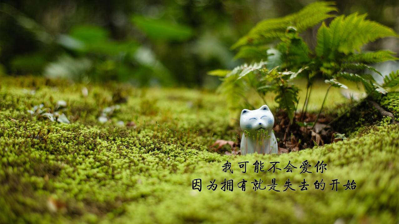 超低价qq说说赞 - 免费领取粉丝,大牛卡盟平台官网,快手在线刷说说赞