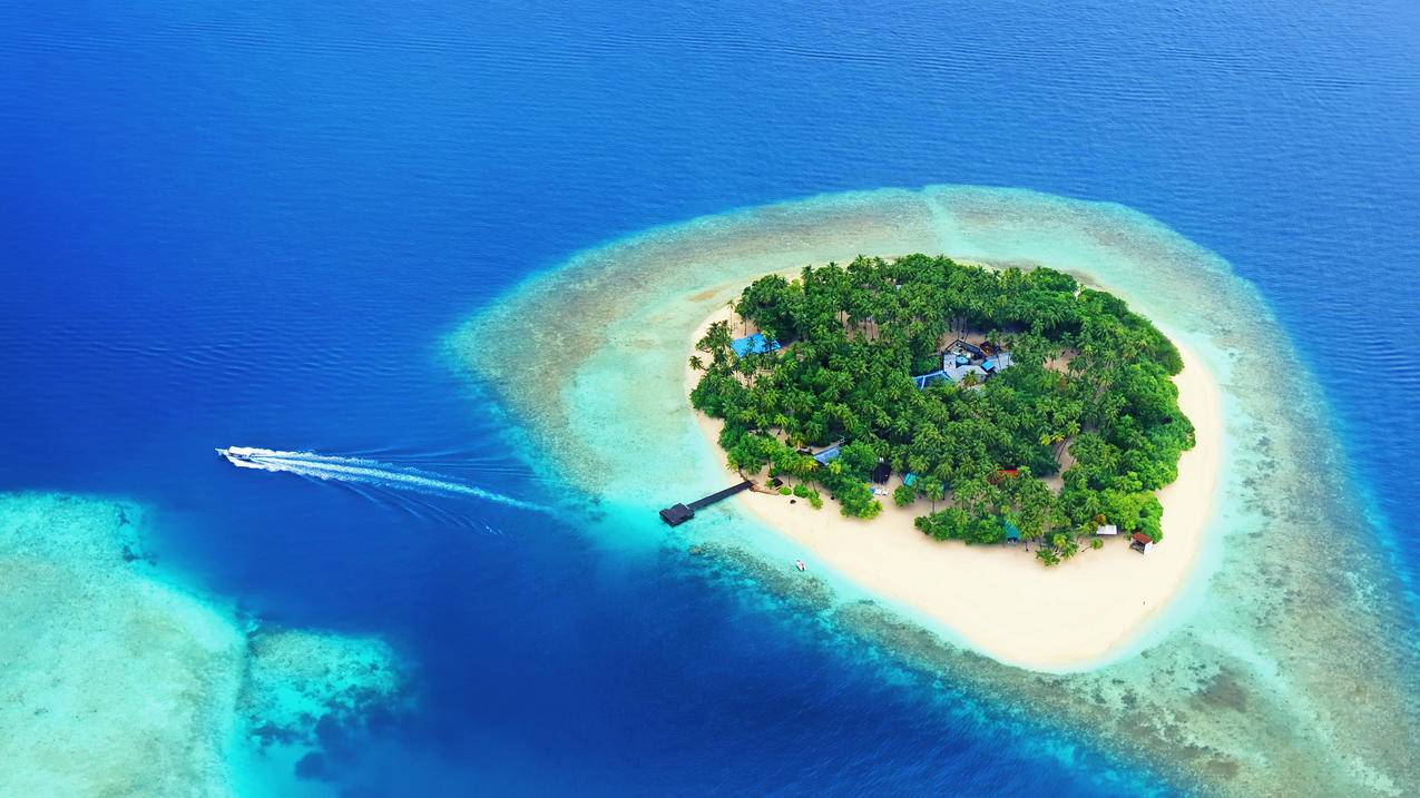 QQ免费刷空间访客量