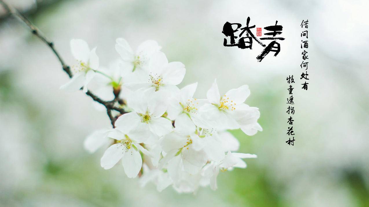 抖音刷赞业务网站自助