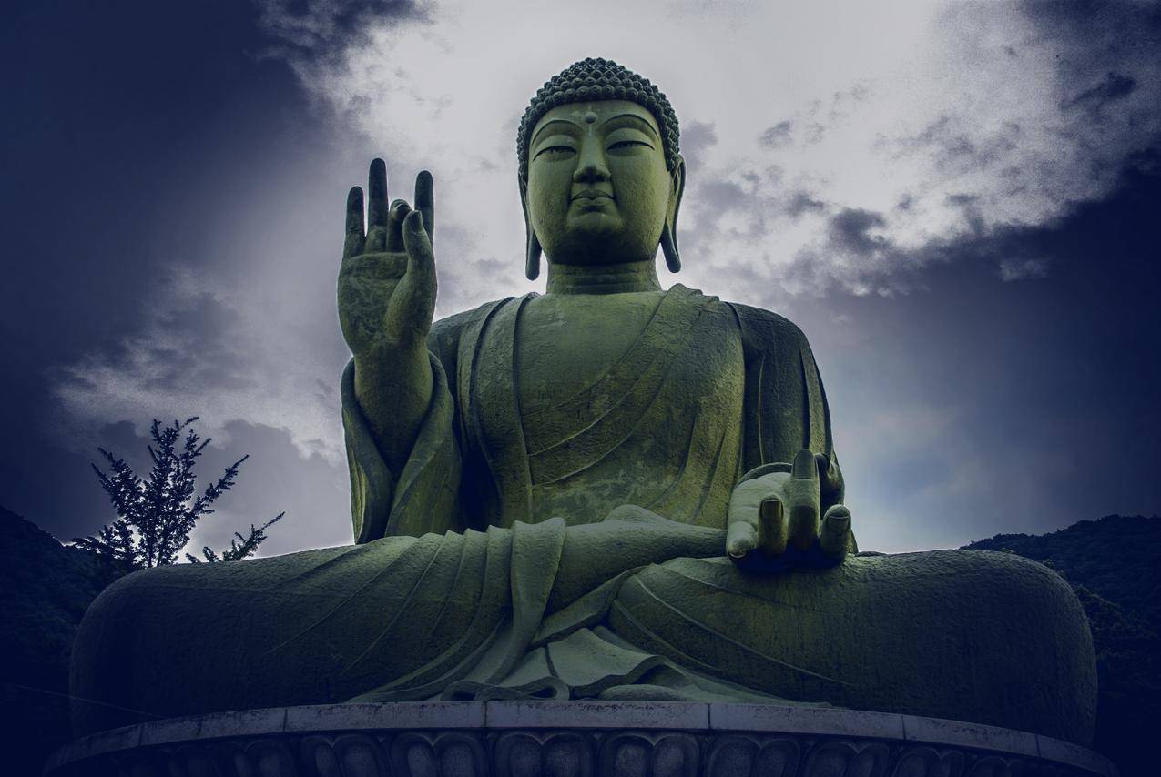 快手免费刷一千粉丝 