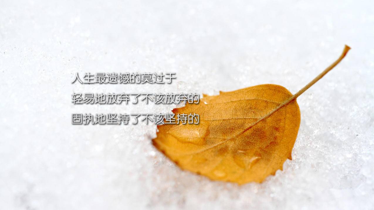 QQ免费代刷快手 - 快手代刷买赞,qq代刷网空间说说赞软件_qq刷赞数网站