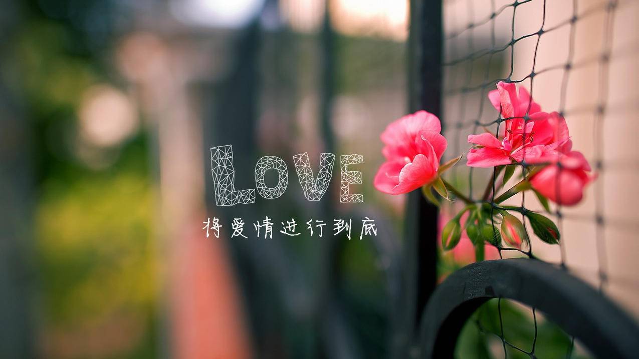 u校园助手-全网刷粉自助下单-抖音免费刷赞神器,刷空间人气平台墨言代刷网抖音