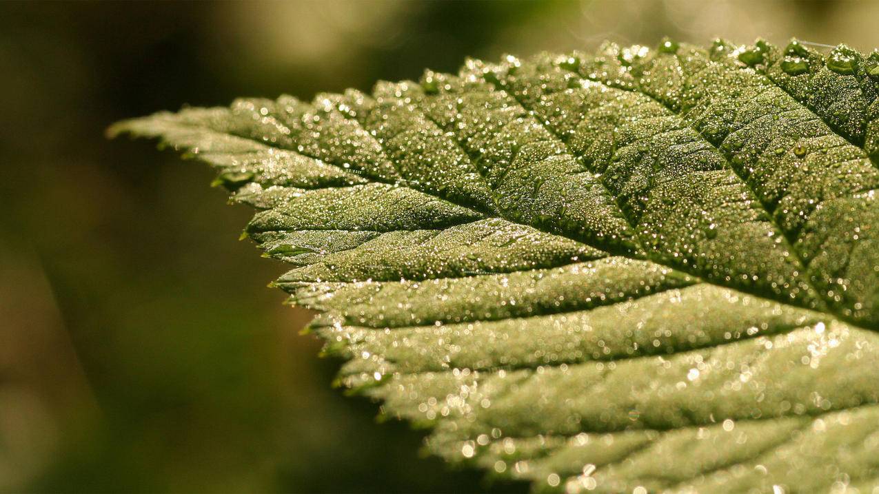 刷快手赞网站全网最低