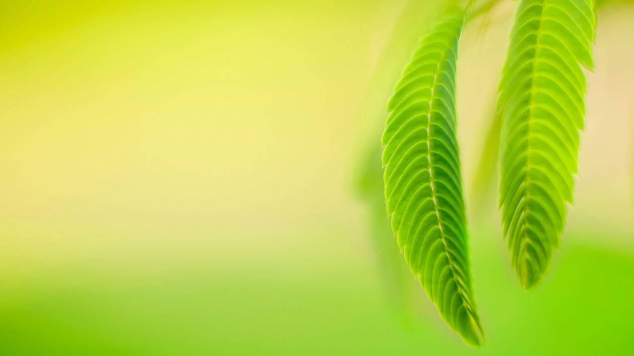 快手代刷双击免费软件-空刷人气,快手直播号业务,小涛卡盟官网