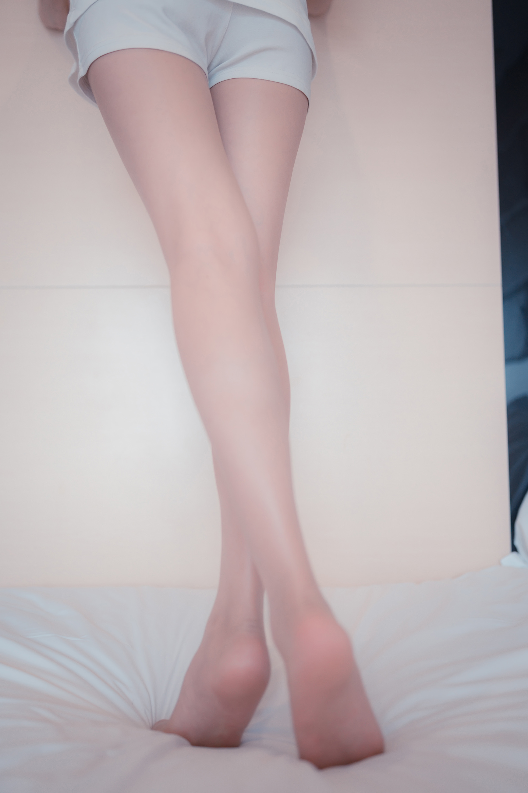 直播间机器人软件代理