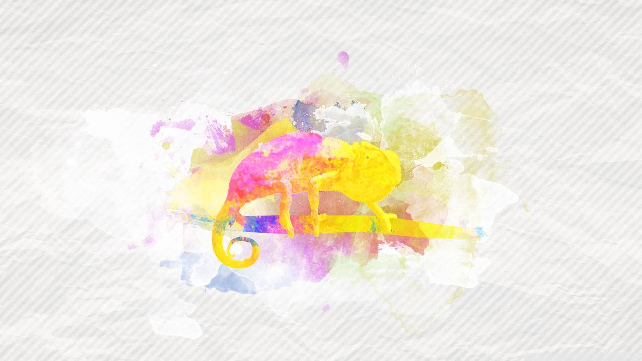 now刷关注 - 快
