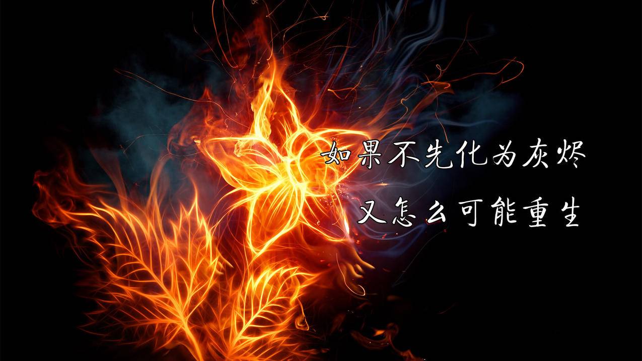 抖音粉丝在线购买 -