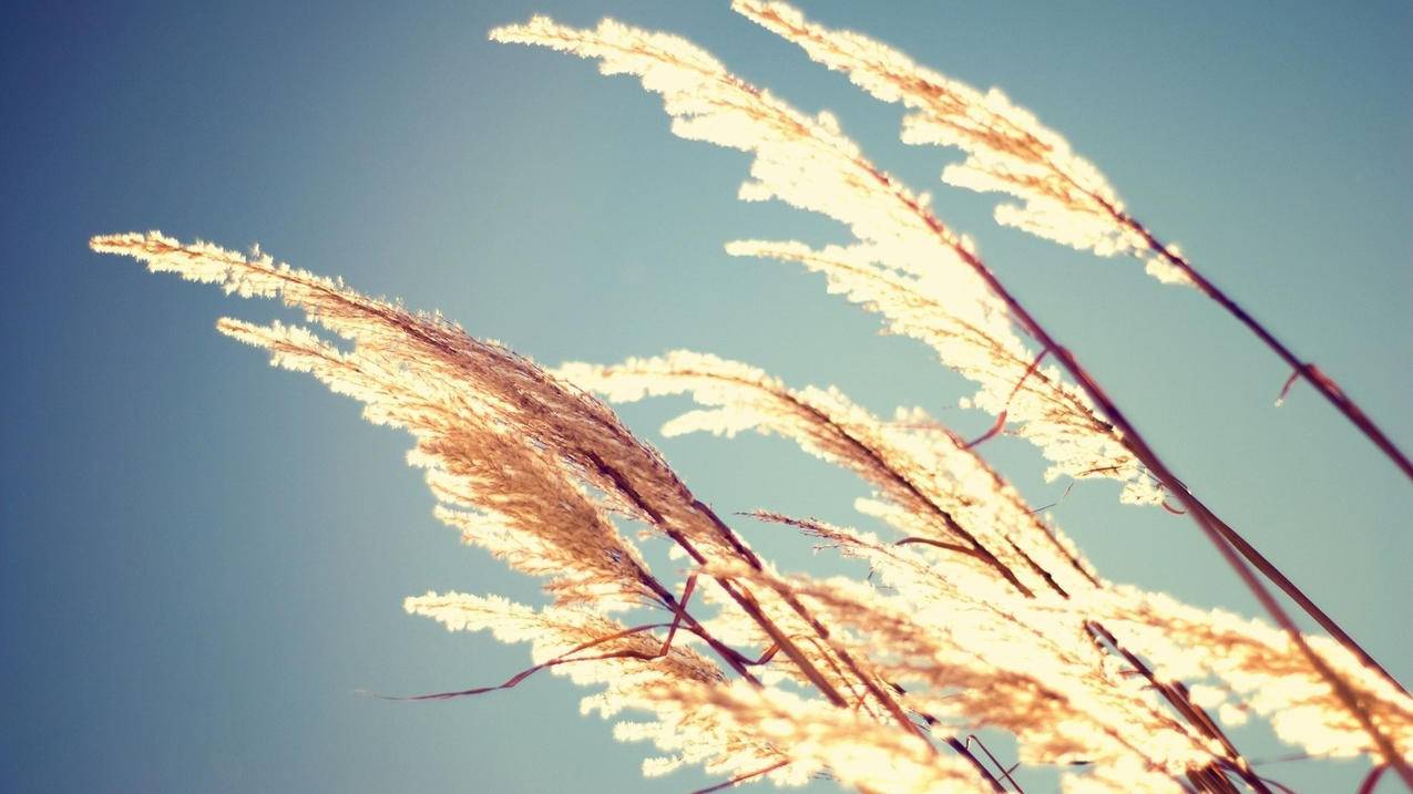 抖音刷抖币软件下载 - b站刷人气卡盟,qq刷赞在线业务网站,急速刷qq赞