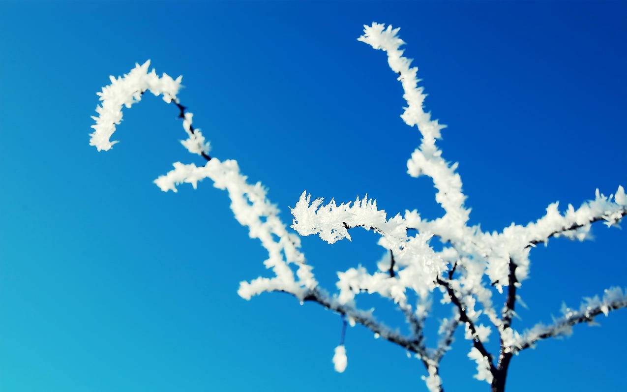 抖音刷粉网站全网_抖音花钱推广100元能涨粉丝吗_刷快手说说点赞平台 - 微博刷博文赞