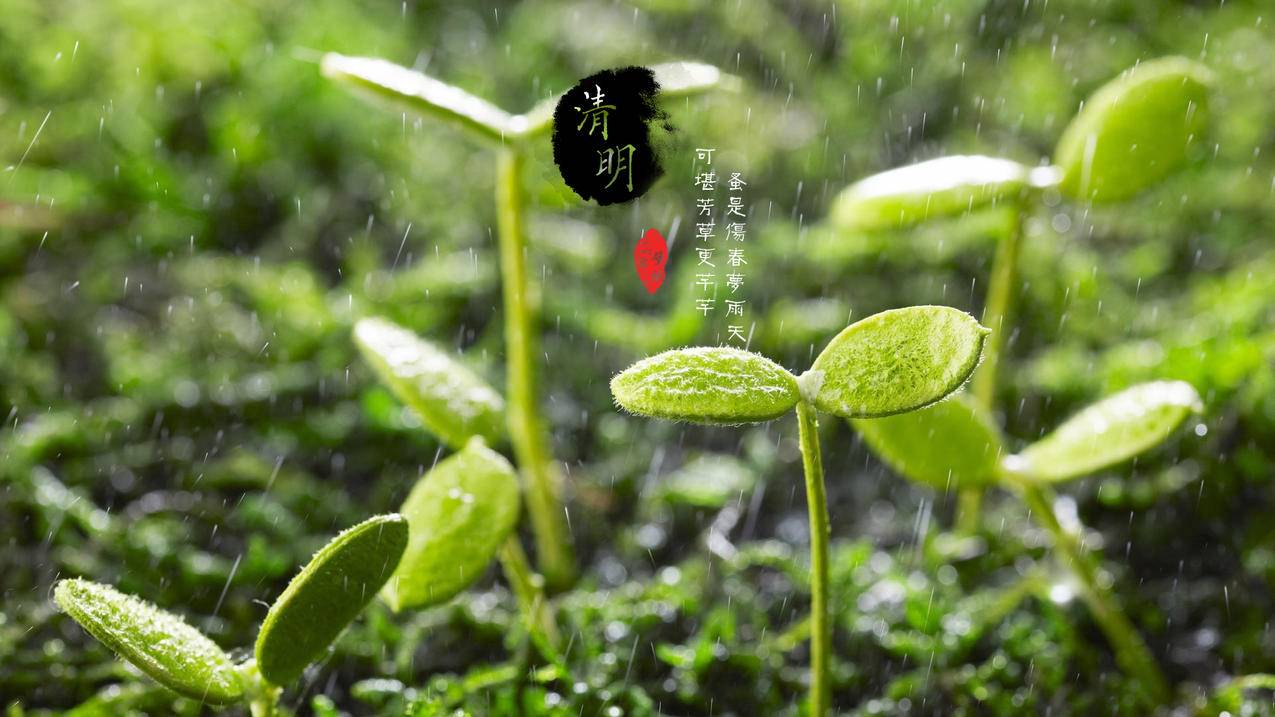 最新版qq下载并安装 - 一元100个赞秒到抖音,微视助力下单台