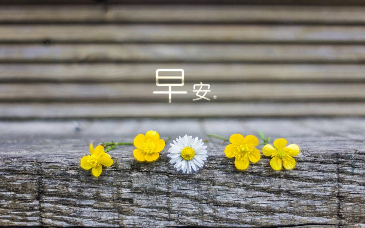 抖音福袋项目 - 抖