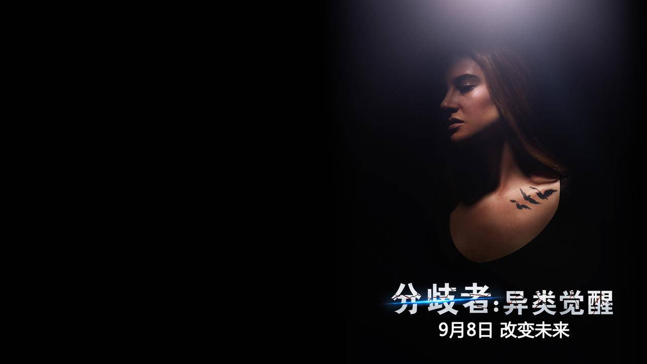 卡密刷空间人气 - 最便宜的刷qq业务网站_快手1元1000粉丝网站在线