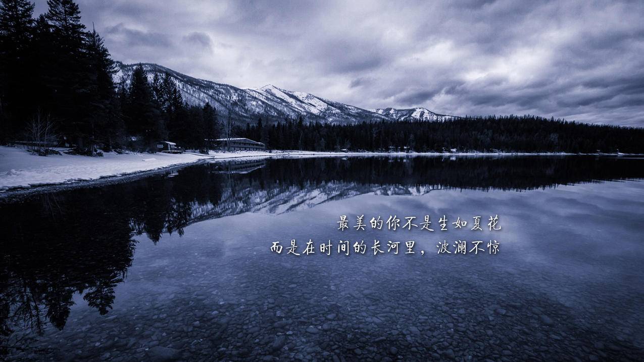 抖音微博刷剧 - 惠