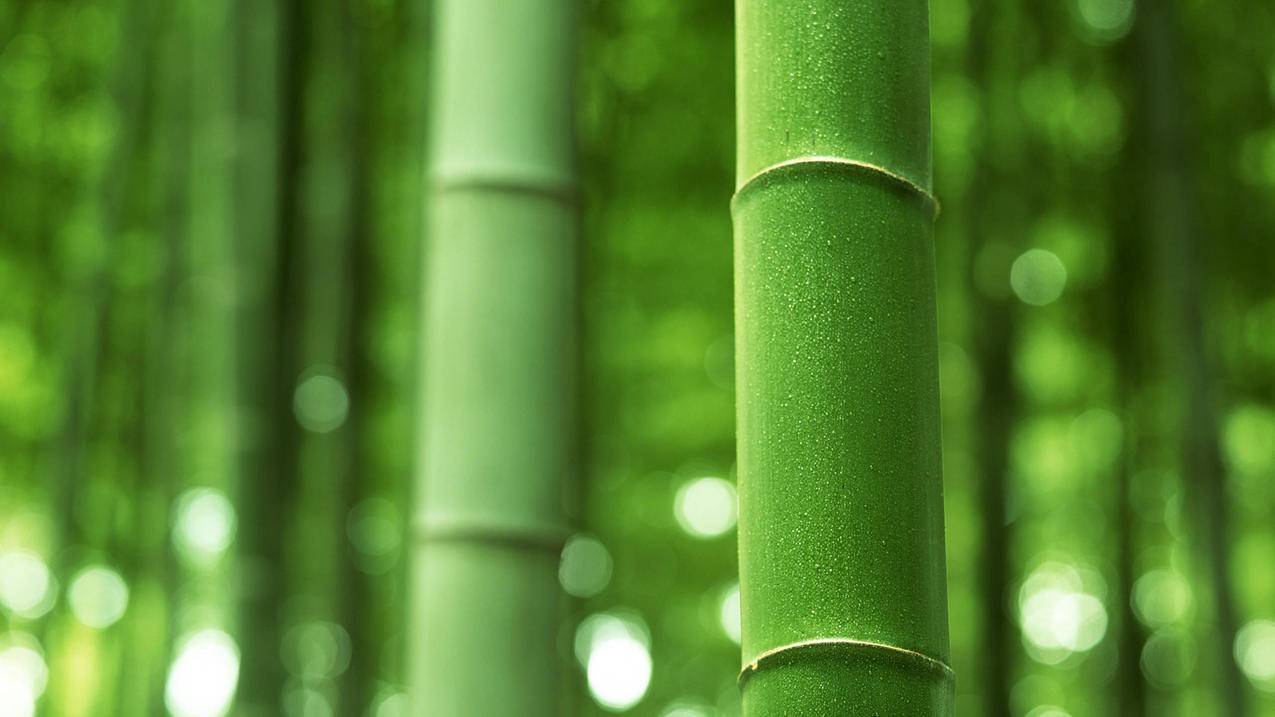 卡盟低自助下单平台-