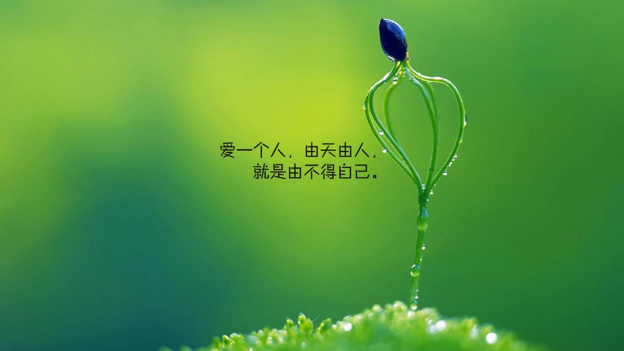 qq业务网快手浏览 - QQ刷赞刷空间赞刷快手粉丝,云帆业务自助下单,刷人气快速